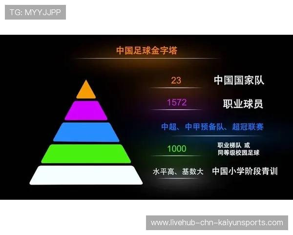 中超球队是否建立青训成果转化率评估体系,中超青训政策 中超球队是否建立青训成果转化率评估体系,中超青训政策
