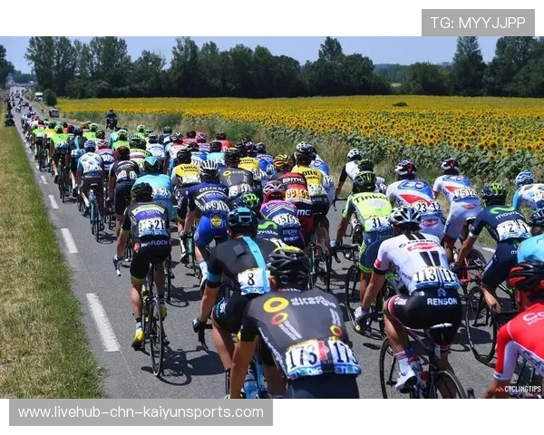 欧洲环法:丹麦新星崛起,引领骑行新潮!,丹麦法区 欧洲环法:丹麦新星崛起,引领骑行新潮!,丹麦法区